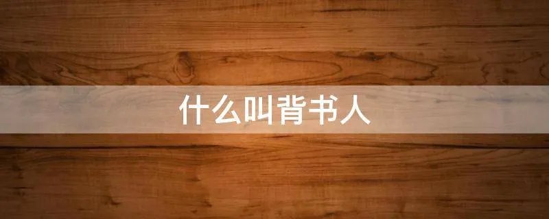 什么叫背书人