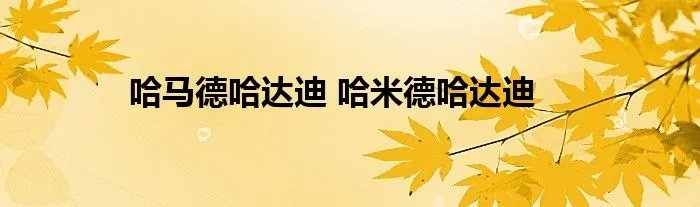 哈马德哈达迪 哈米德哈达迪