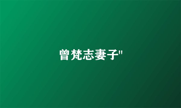 曾梵志妻子