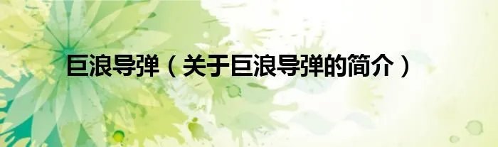 巨浪导弹(关于巨浪导弹的简介)