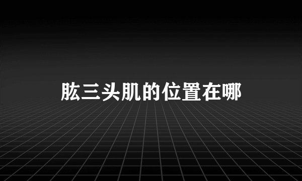肱三头肌的位置在哪