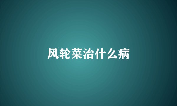 风轮菜治什么病