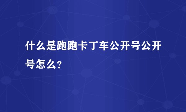 什么是跑跑卡丁车公开号公开号怎么?