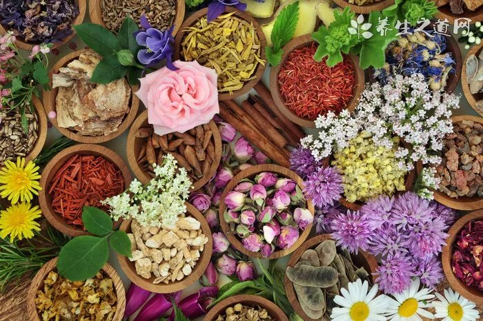 芡实根怎么做好吃芡实根的食用方法