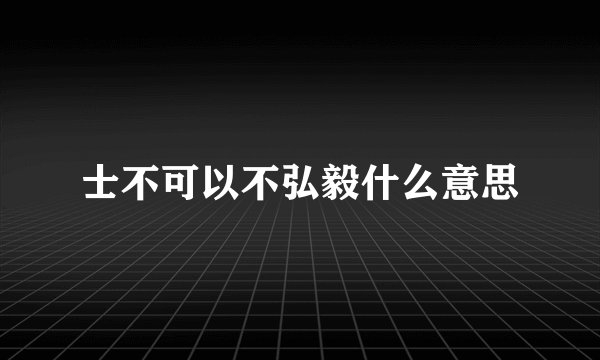 士不可以不弘毅什么意思