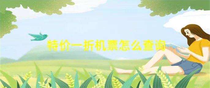 特价一折机票怎么查询