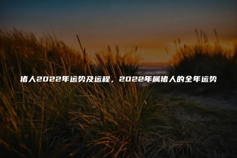 猪人2022年运势及运程,2022年属猪人的全年运势
