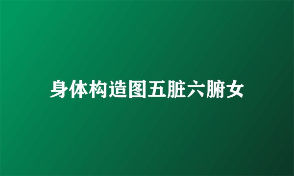 身体构造图五脏六腑女