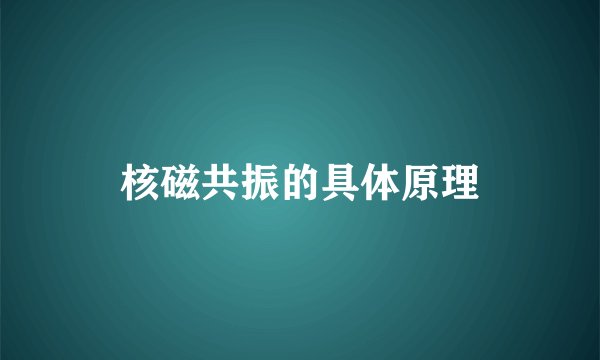 核磁共振的具体原理