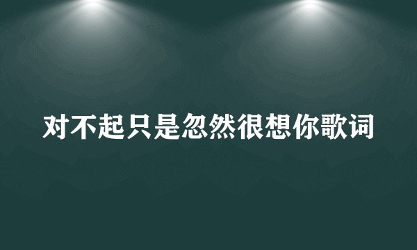 对不起只是忽然很想你歌词