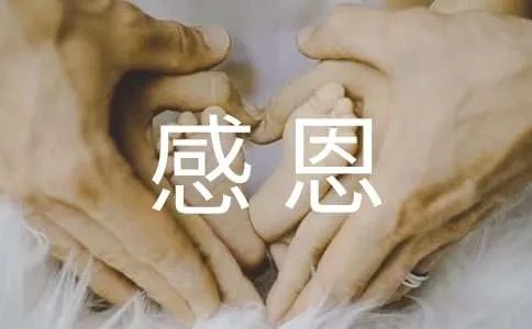 感恩的作文