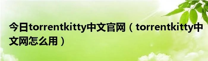 今日torrentkitty中文官网(torrentkitty中文网怎么用)