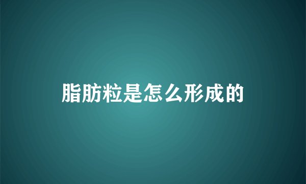 脂肪粒是怎么形成的