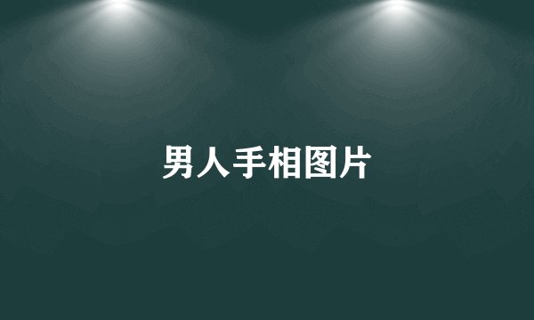 男人手相图片
