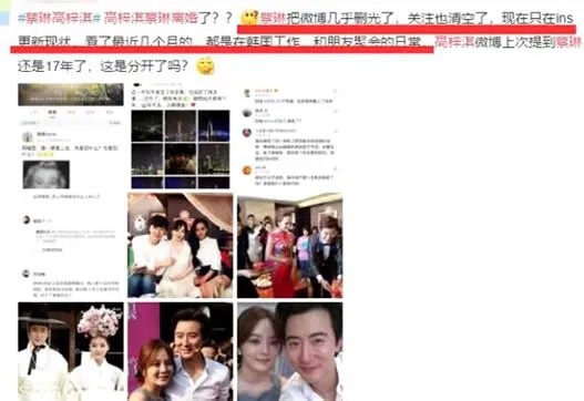 蔡琳高梓淇曝离婚原因详情:相识相恋结婚离婚始末过程