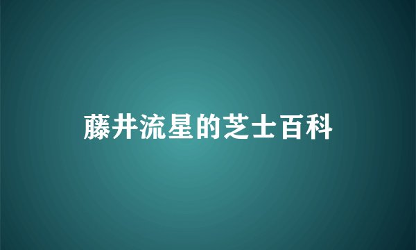 藤井流星的芝士百科