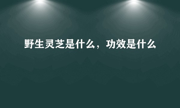 野生灵芝是什么，功效是什么