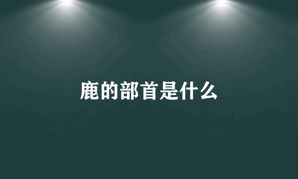 鹿的部首是什么