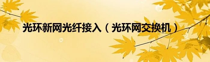 光环新网光纤接入（光环网交换机）