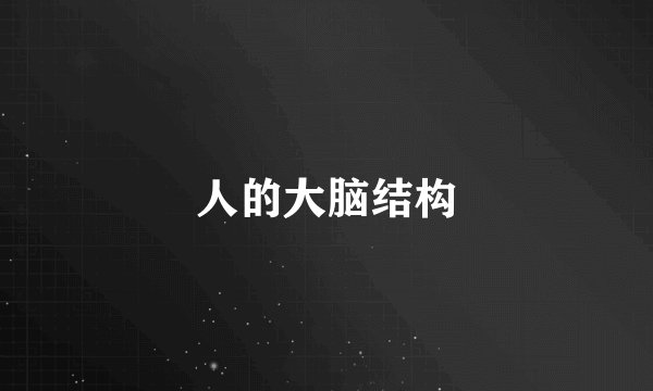 人的大脑结构