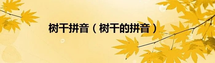 树干拼音（树干的拼音）