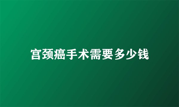 宫颈癌手术需要多少钱