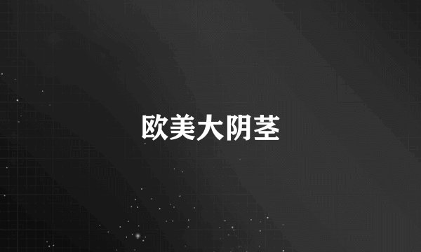 欧美大阴茎