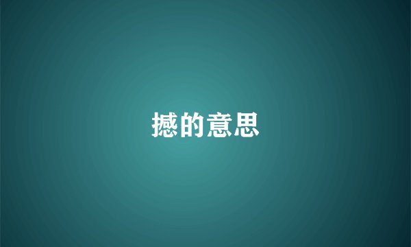 撼的意思