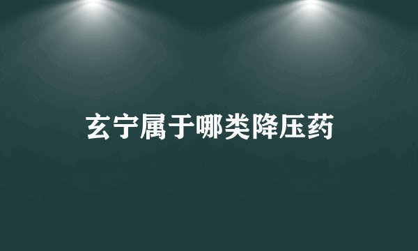 玄宁属于哪类降压药