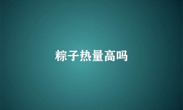 粽子热量高吗