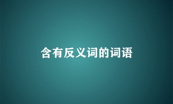 含有反义词的词语