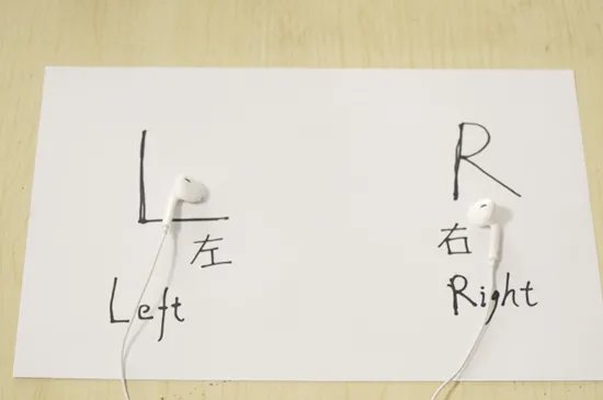 l是左还是右