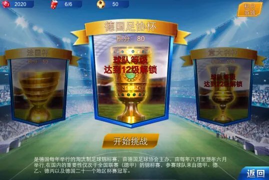 杯赛介绍