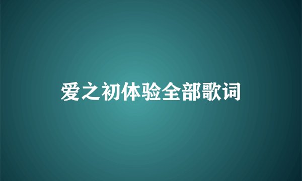 爱之初体验全部歌词