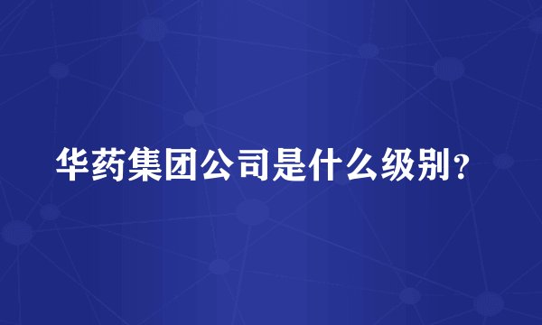 华药集团公司是什么级别？