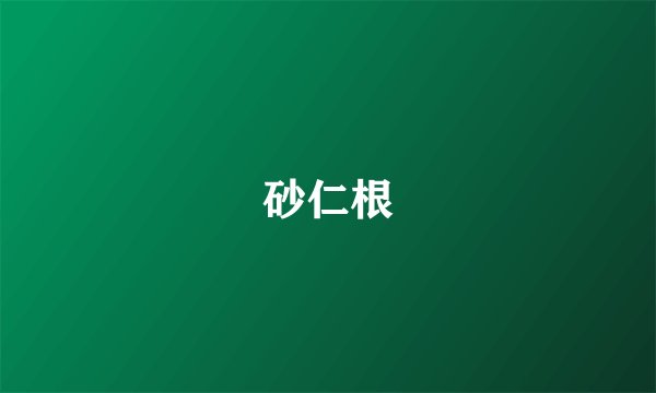 砂仁根