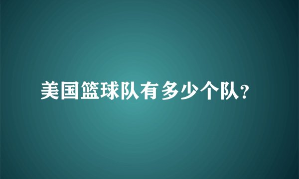 美国篮球队有多少个队？
