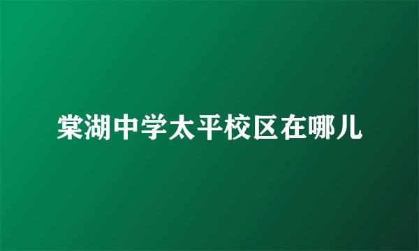 棠湖中学太平校区在哪儿