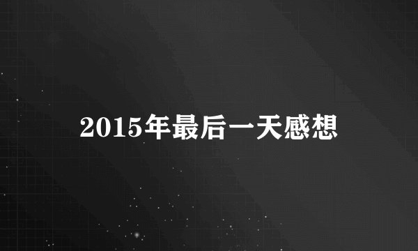 2015年最后一天感想