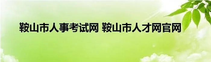 鞍山市人事考试网 鞍山市人才网官网