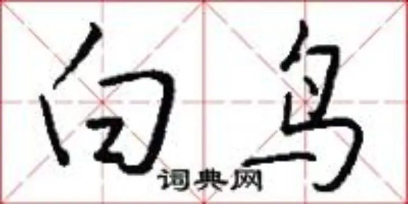 白鸟