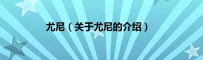尤尼（关于尤尼的介绍）