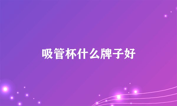 吸管杯什么牌子好