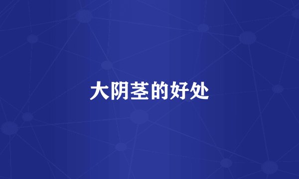 大阴茎的好处