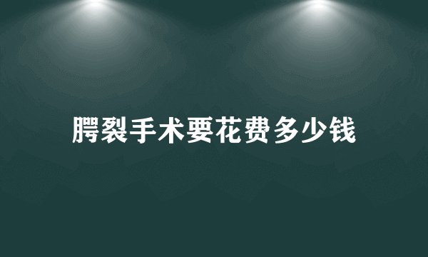 腭裂手术要花费多少钱