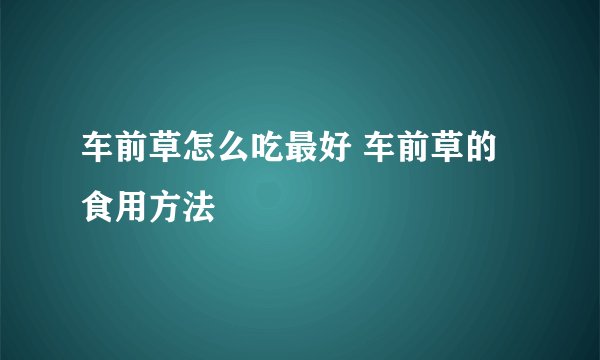 车前草怎么吃最好 车前草的食用方法