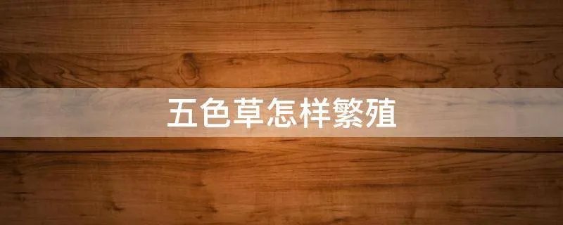 五色草怎样繁殖