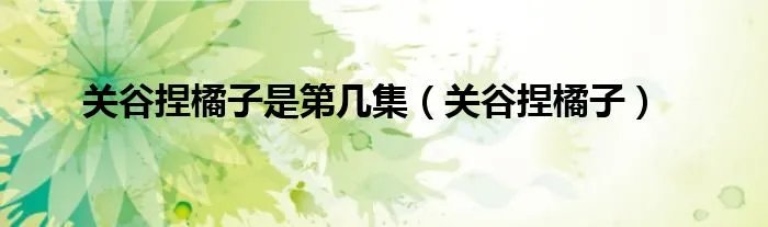 关谷捏橘子是第几集(关谷捏橘子)