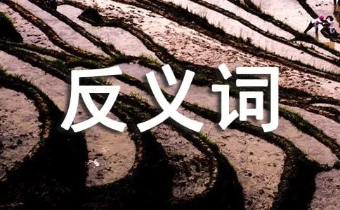轻盈的反义词是什么