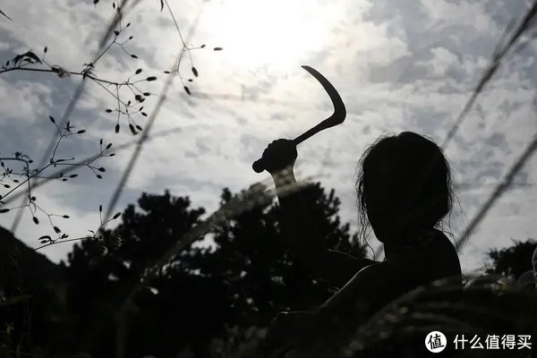 20部豆瓣高分爽片,全程高能,多图预警,从头到尾看到爽!(附在线观看地址)